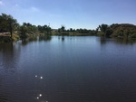 2017-07-12_14-10-39_B4B179B3-0E84-4516-8909-9F526C1A979B.jpg