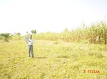 6459gt009-cropland-1.jpg