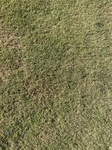 2020-10-04_13-00-17_50ECB529-9C96-4A04-872B-F80B3C70A748.jpg