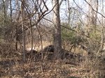 8626IMG_1251.JPG