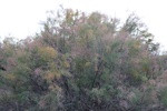 2019-10-16_14-41-51_4E8A6515.JPG