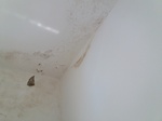 2017-07-17_00-30-03_IMG_20170717_132939.jpg