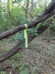 2012-09-24_10-40-25_DSC03093.JPG