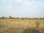 1681301052008(27).JPG