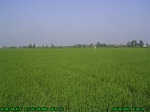 42832007.5.20.st2.JPG