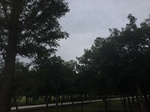 2017-09-10_06-50-52_915C69AC-F456-45B6-8BA1-C664FA6088A9.jpg