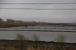 2017-05-12_17-38-09_2017-05-05 18.30.34.jpg