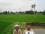 6015007c-irrigated-canal-nagarjunsagar-rice-dominant.jpg