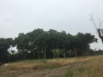 2017-09-11_22-13-44_B965F4B4-D84C-4997-9D85-98E4C8AD9B61.jpg
