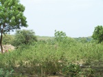 488002052008(74).JPG