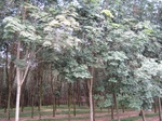 14068IMG_4395.JPG