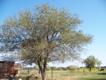 2012-09-28_22-29-13_TX-ER-4-1.JPG