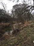 2017-03-02_14-29-02_Feb17-201-TX.jpg