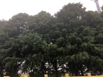 2017-09-10_07-05-14_6F060B77-8A0F-451F-8B99-CE3AECCFB333.jpg