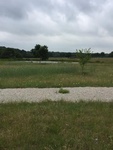 2017-05-27_09-23-42_2017_05_27 Facing South 15915 CR 668 Blue Ridge TX 75424.jpg
