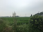 2017-09-10_07-08-47_E2BFAA4E-9768-4973-B705-8B606DD9C923.jpg