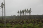 2018-04-14_14-26-23_2017-06-12 07.36.01.jpg