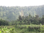 13768IMG_4029.JPG