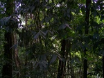 548811052008(68).JPG