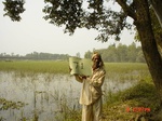 11242gt071-cropland-wetland-1.jpg