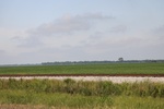 2022-06-11_17-39-22_AF6E8C4B-1F81-4F45-ABB8-BDB5AFB56E29.jpeg