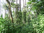 17541100_2802.JPG