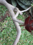 16586IMG_5373.JPG