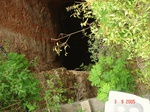 6269048c-irrigated-classic-supplemental-groundwater-sugarcane-dominant-cotton-groundnut-coconut-doublecrop.jpg