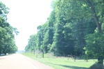 2022-05-26_14-22-17_EE7A7A37-1C5F-4EEE-B88C-5ED621AC3072.jpeg