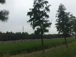 2017-09-10_07-08-41_72338883-2149-4E61-BB90-537A12794927.jpg