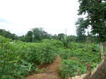 20269P1020124.JPG