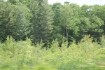 2022-06-12_15-15-38_DA0D4952-8558-4FC4-9465-7AE8E4F0B69B.jpeg