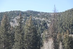 2022-01-21_16-08-47_4E8A4363.JPG