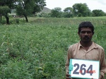72750264c-rainfed-agriculture-mixedcrop-cotton-dominant-maize.jpg
