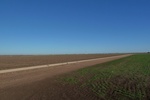 40375P1020036.JPG
