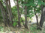 1779924042008(56).JPG
