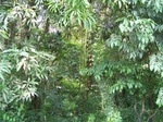 542110052008(29).JPG