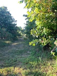 2020-08-27_08-59-30_2020-8-22-8-12-24.jpg