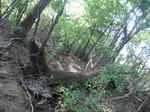 2012-09-21_16-12-26_CIMG2974.JPG