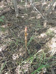 2012-09-24_10-40-20_DSC03143.JPG