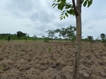 18596P1000433.JPG