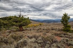 2018-09-05_11-13-23_South.9.02.jpg