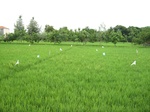 14474IMG_4832.JPG