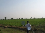 7791gt034a-cropland-rainfed-mixed-crops.jpg