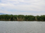 38554CIMG0082.JPG