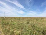2019-10-18_15-04-21_8E38654A-EEDB-4860-B4F2-EEA2B36B1C12.jpg