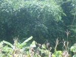 2012-09-08_18-24-00_RIMG0140.JPG