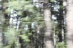 2018-05-31_18-12-45_2018-03-25 14.10.22.jpg