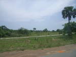 8845nigeria 050.jpg