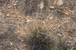 2012-10-04_17-41-54_Mack-7.jpg